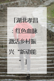 湖北孝昌：红色血脉激活乡村振兴“新动能”
