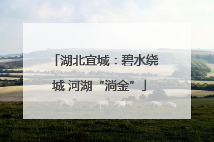 湖北宜城：碧水绕城 河湖“淌金”