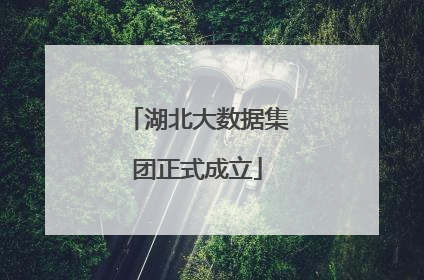 湖北大数据集团正式成立