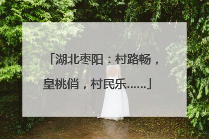 湖北枣阳：村路畅，皇桃俏，村民乐……