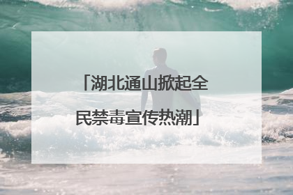 湖北通山掀起全民禁毒宣传热潮