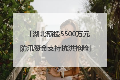 湖北预拨5500万元防汛资金支持抗洪抢险