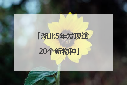 湖北5年发现逾20个新物种