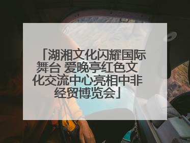 湖湘文化闪耀国际舞台 爱晚亭红色文化交流中心亮相中非经贸博览会