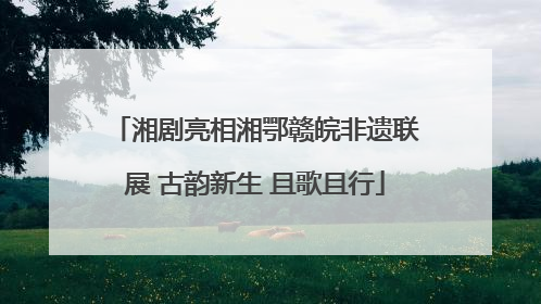 湘剧亮相湘鄂赣皖非遗联展 古韵新生 且歌且行