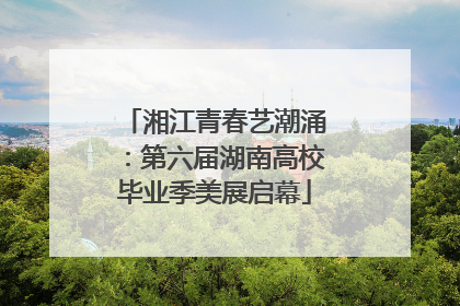 湘江青春艺潮涌：第六届湖南高校毕业季美展启幕