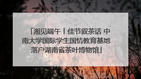 湘见端午丨佳节叙茶话 中南大学国际学生国情教育基地落户湖南省茶叶博物馆