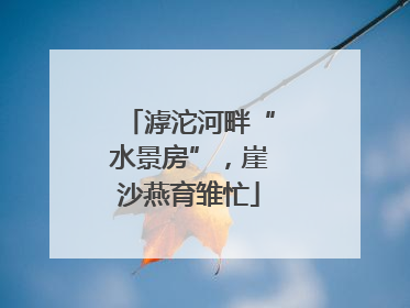 滹沱河畔“水景房”，崖沙燕育雏忙