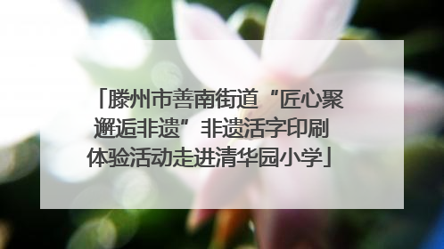 滕州市善南街道“匠心聚 邂逅非遗”非遗活字印刷体验活动走进清华园小学