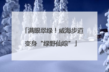 满眼翠绿！威海步道变身“绿野仙踪”