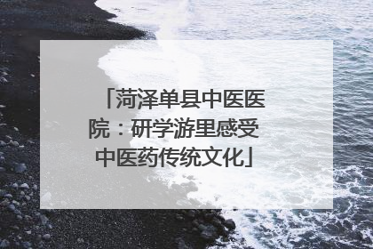 菏泽单县中医医院：研学游里感受中医药传统文化