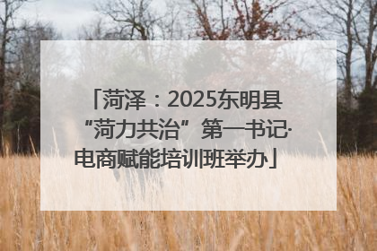 菏泽：2025东明县“菏力共治”第一书记·电商赋能培训班举办