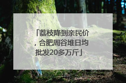 荔枝降到亲民价，合肥周谷堆日均批发20多万斤