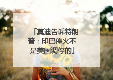 莫迪告诉特朗普：印巴停火不是美国调停的