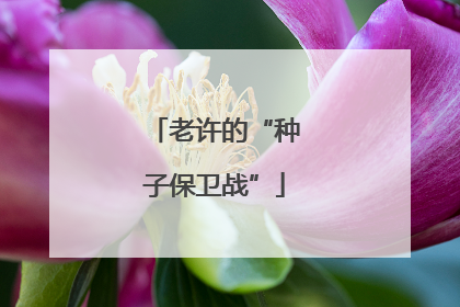 老许的“种子保卫战”