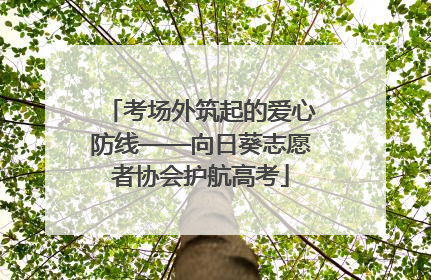 考场外筑起的爱心防线——向日葵志愿者协会护航高考