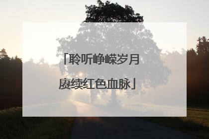 聆听峥嵘岁月 赓续红色血脉
