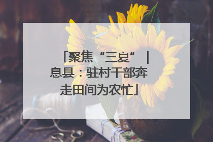 聚焦“三夏”｜息县：驻村干部奔走田间为农忙