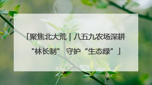 聚焦北大荒｜八五九农场深耕“林长制” 守护“生态绿”