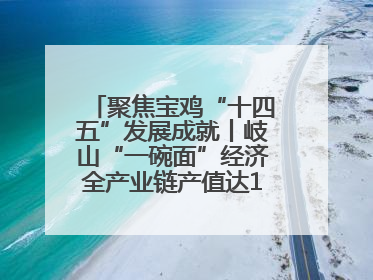 聚焦宝鸡“十四五”发展成就丨岐山“一碗面”经济全产业链产值达162亿元 入选全国典型县