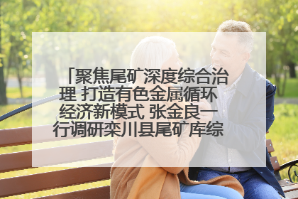 聚焦尾矿深度综合治理 打造有色金属循环经济新模式 张金良一行调研栾川县尾矿库综合治理工作
