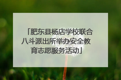 肥东县杨店学校联合八斗派出所举办安全教育志愿服务活动