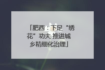 肥西：下足“绣花”功夫 推进城乡精细化治理