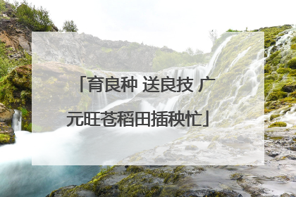 育良种 送良技 广元旺苍稻田插秧忙