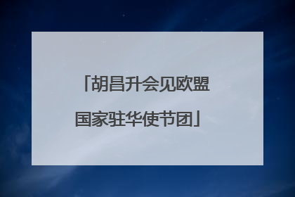 胡昌升会见欧盟国家驻华使节团