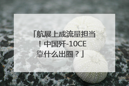航展上成流量担当！中国歼-10CE靠什么出圈？