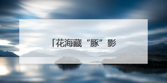 花海藏“豚”影！江豚湾景区创意花田邀你来打卡