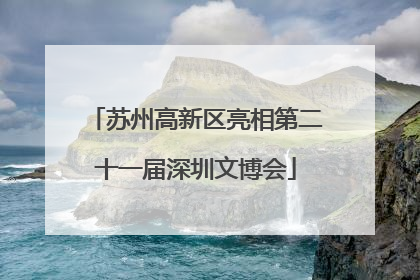 苏州高新区亮相第二十一届深圳文博会