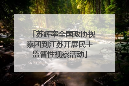 苏辉率全国政协视察团到江苏开展民主监督性视察活动