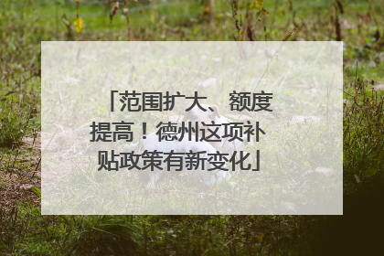 范围扩大、额度提高！德州这项补贴政策有新变化