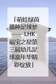 萌娃绿茵播种足球梦——LHK福宝之星第三届幼儿足球嘉年华精彩绽放
