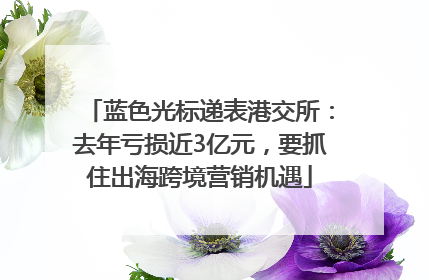 蓝色光标递表港交所：去年亏损近3亿元，要抓住出海跨境营销机遇