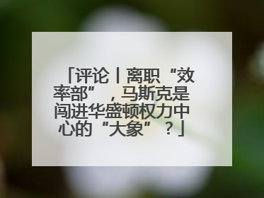 评论丨离职“效率部”，马斯克是闯进华盛顿权力中心的“大象”？