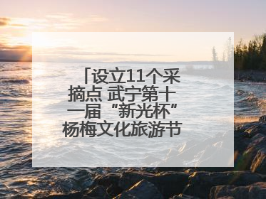 设立11个采摘点 武宁第十一届“新光杯”杨梅文化旅游节开幕（组图）