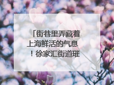 街巷里弄藏着上海鲜活的气息！徐家汇街道璀璨生活节启幕