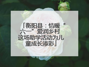 衡阳县：情暖“六一”爱润乡村 这场助学活动为儿童成长添彩