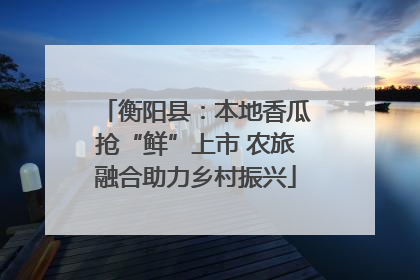 衡阳县：本地香瓜抢“鲜”上市 农旅融合助力乡村振兴