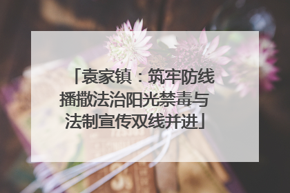 袁家镇：筑牢防线播撒法治阳光禁毒与法制宣传双线并进