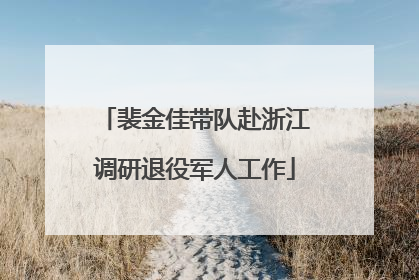 裴金佳带队赴浙江调研退役军人工作