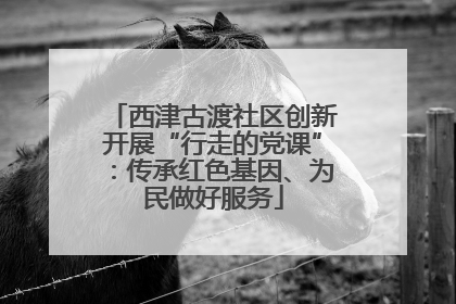 西津古渡社区创新开展“行走的党课”：传承红色基因、为民做好服务
