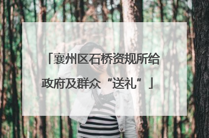 襄州区石桥资规所给政府及群众“送礼”