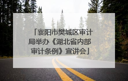 襄阳市樊城区审计局举办《湖北省内部审计条例》宣讲会