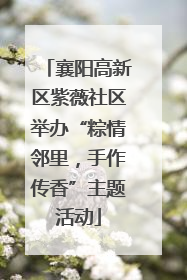 襄阳高新区紫薇社区举办“粽情邻里，手作传香”主题活动