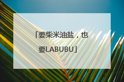 要柴米油盐，也要LABUBU