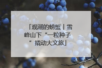 观潮的螃蟹丨雪峰山下“一粒种子”撬动大文旅