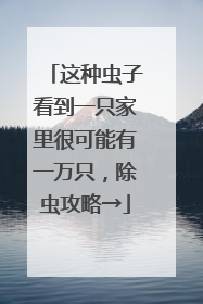这种虫子看到一只家里很可能有一万只，除虫攻略→